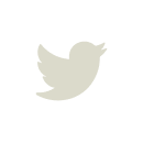 Twitter social media icon